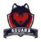 Escudo Local